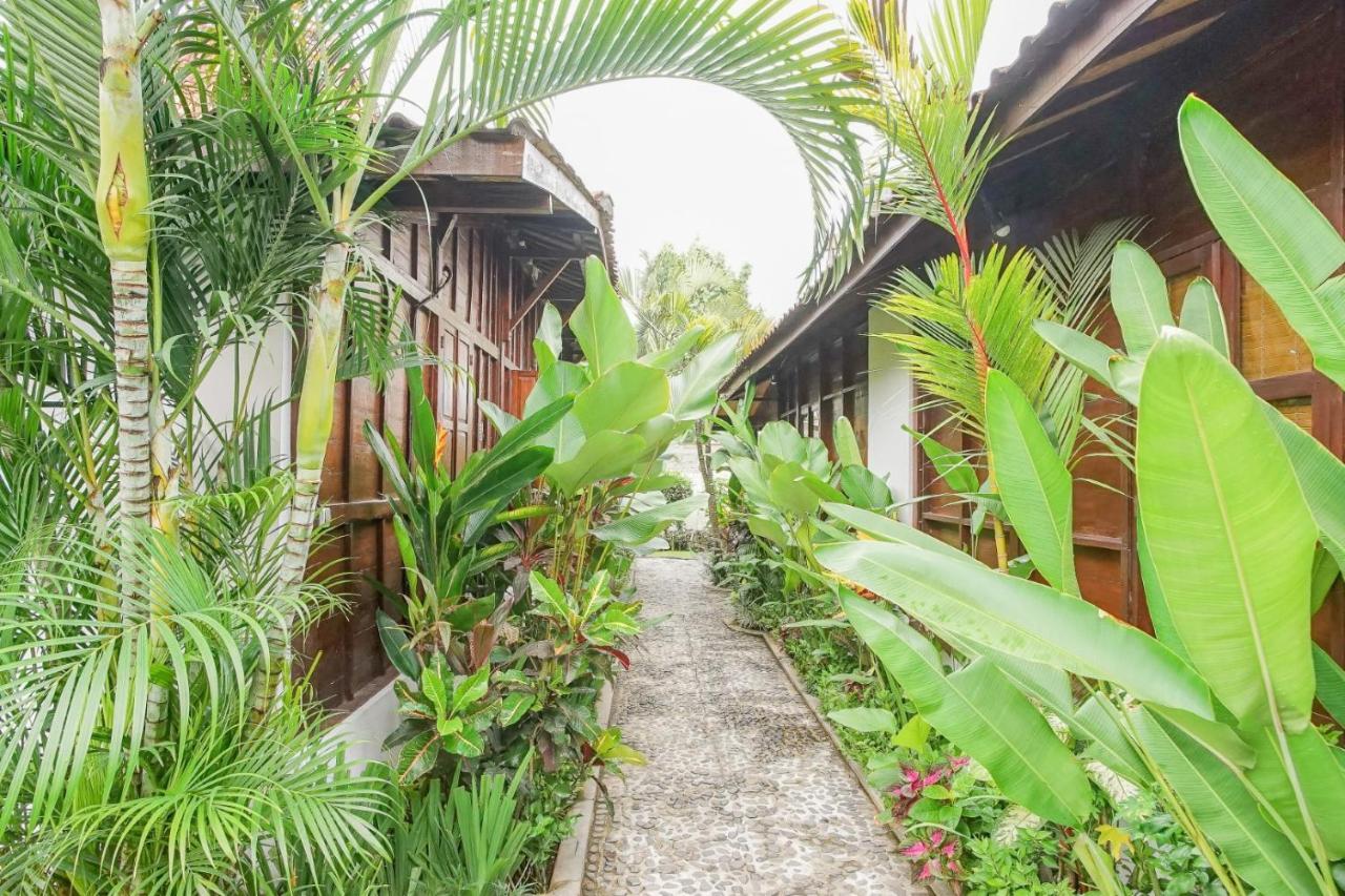 Surfer Paradise Villas Canggu Екстериор снимка